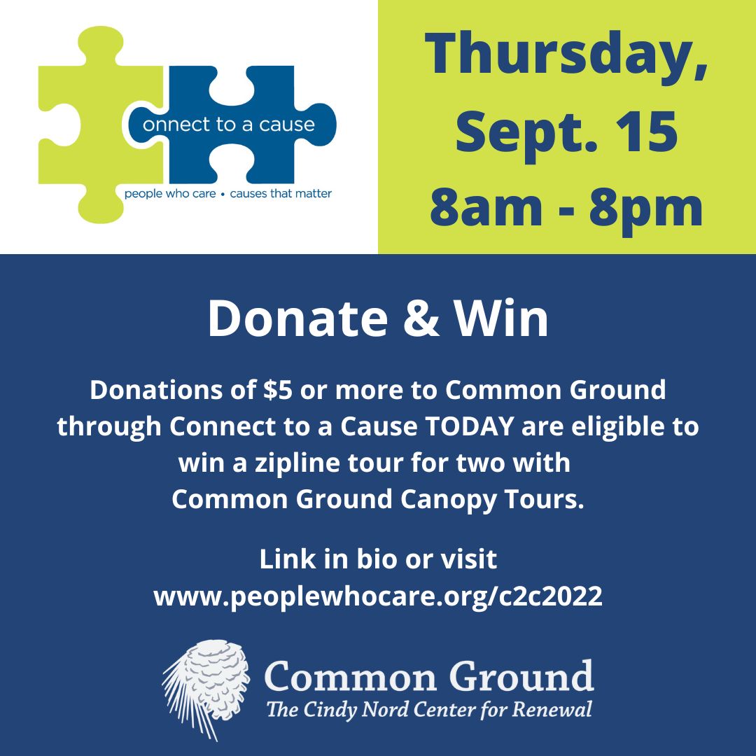 Common Ground tweet media