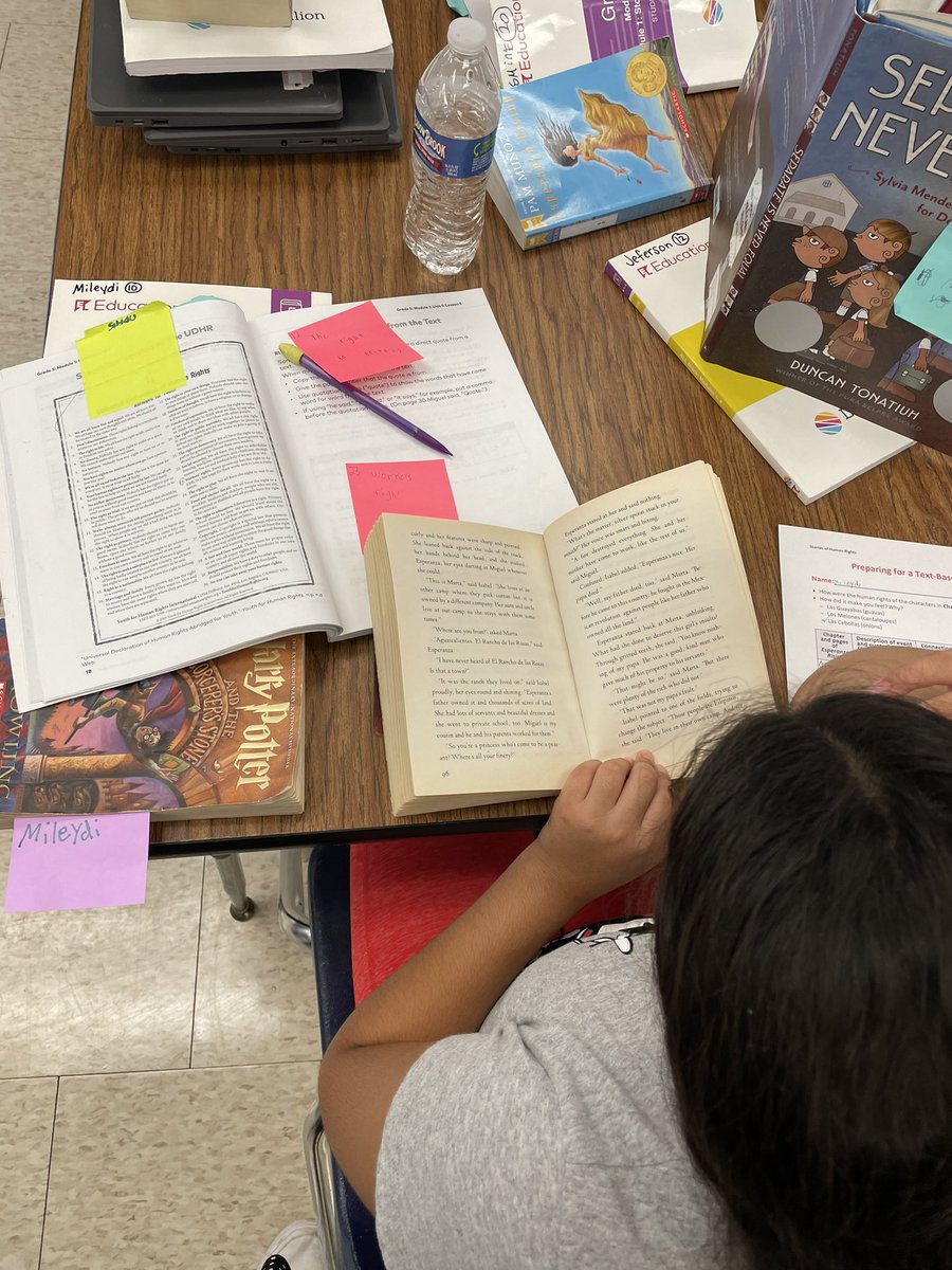 SterlingTigers tweet media