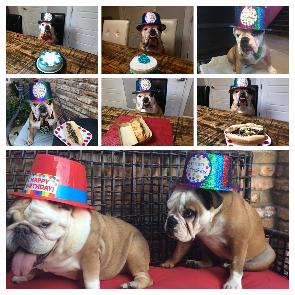 I’m wearing the hat again! Can you believe I’ve already worn this hat  7 times??? My favorite is the bottom picture with Fenway…pretty sure he is celebrating today too!🎉🎉🎉🎂🎁 #ItsMyBirthday