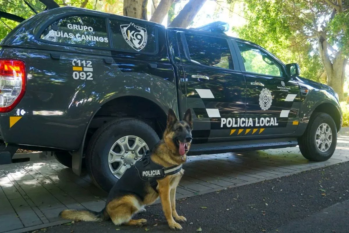 evebruler's tweet image. Una mejora muy esperada, para que esta unidad pueda desempeñar la mejor labor posible.💙

@PoliciaLocalSC
#PoliciaLocalSC #vehículos #patrulla #Seguridad #mejoras #reforma #SantaCruz