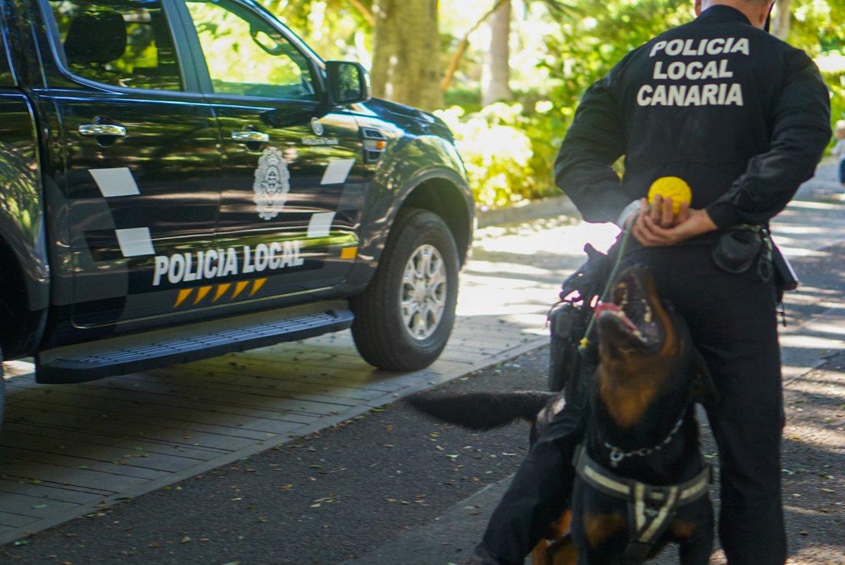 evebruler's tweet image. Una mejora muy esperada, para que esta unidad pueda desempeñar la mejor labor posible.💙

@PoliciaLocalSC
#PoliciaLocalSC #vehículos #patrulla #Seguridad #mejoras #reforma #SantaCruz