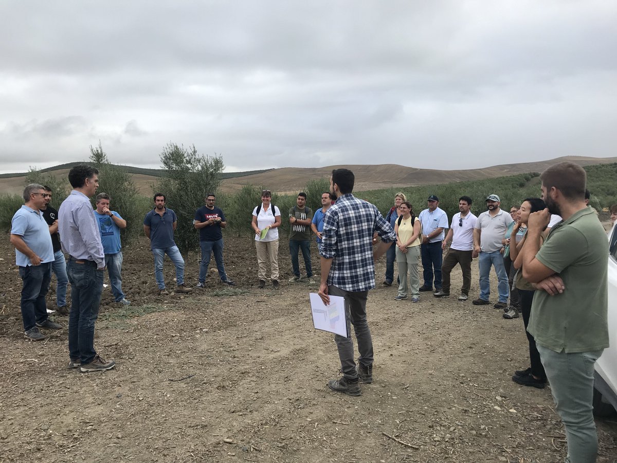 TodolivoOficial's tweet photo. Hoy hemos recibido en los campos de ensayo que forman parte de nuestro Programa de Mejora Varietal a los alumnos del #CSEO que organiza el @IfapaJunta . Una jornada muy fructífera donde los técnicos han podido conocer nuestras 72 nuevas variedades en riego y secano. https://t.co/N0rqvkiZqP