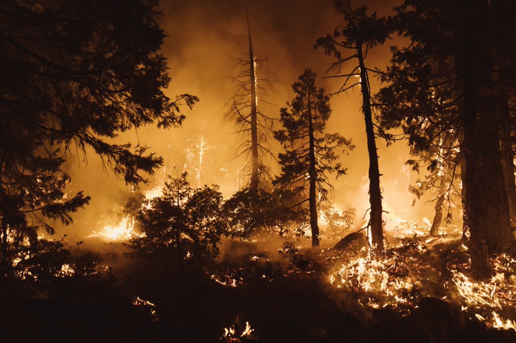ericthayer's tweet photo. #MosquitoFire Foresthill, CA @GettyImages https://t.co/ndEzPxibgs