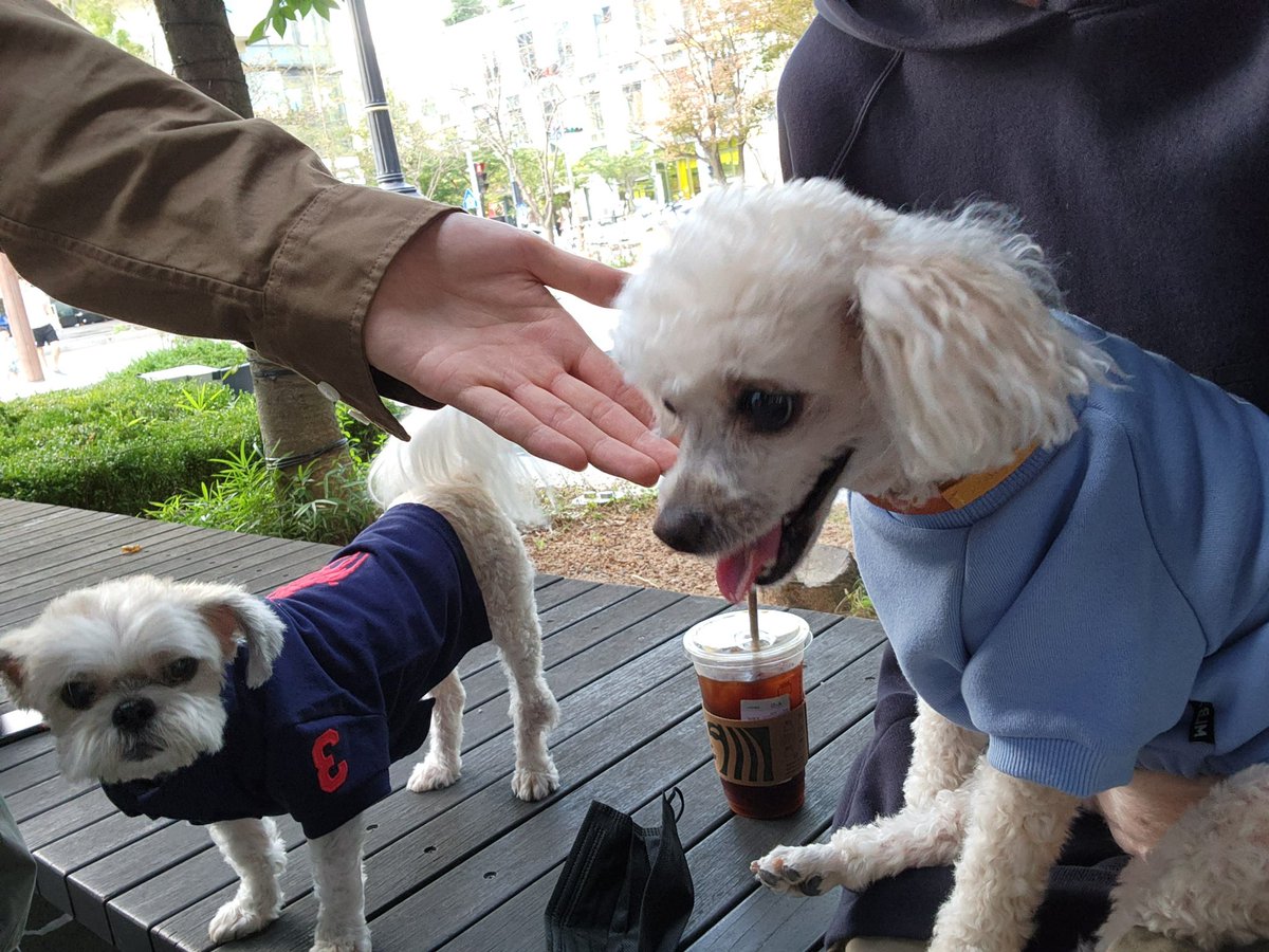 우리제휸이데이트한다고 셔츠입은거 너무감동심해서 제로투추는중 아 아정신나갈거같애 아