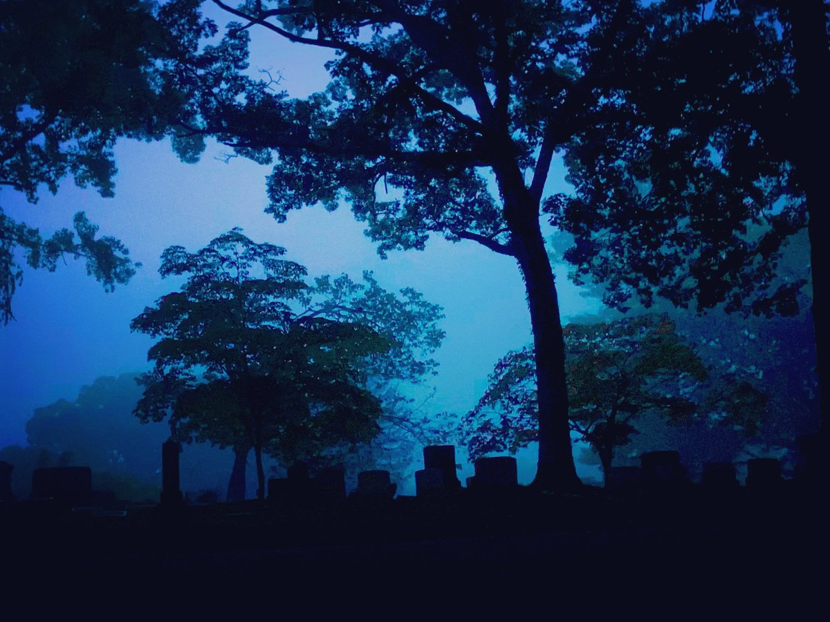 RiversideCemNC's tweet photo. O lost, and by the wind grieved, ghost, come back again. https://t.co/tebjimrRV9