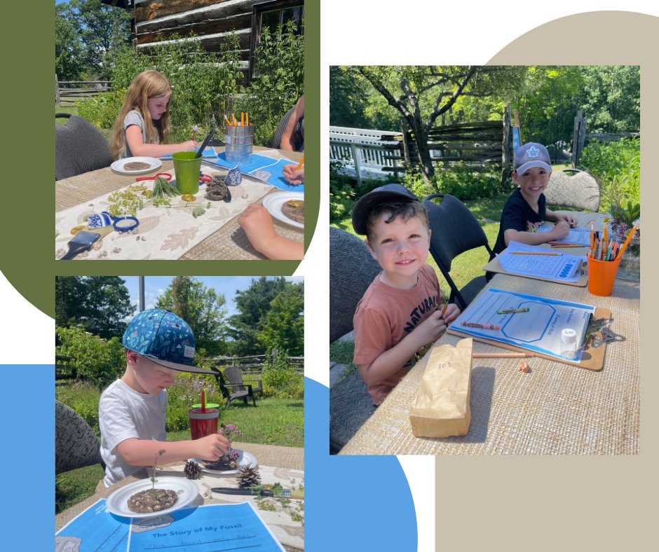 TBT to fossil making in the garden from July 2022! 

#fossil #rocks #decorating #garden #fun