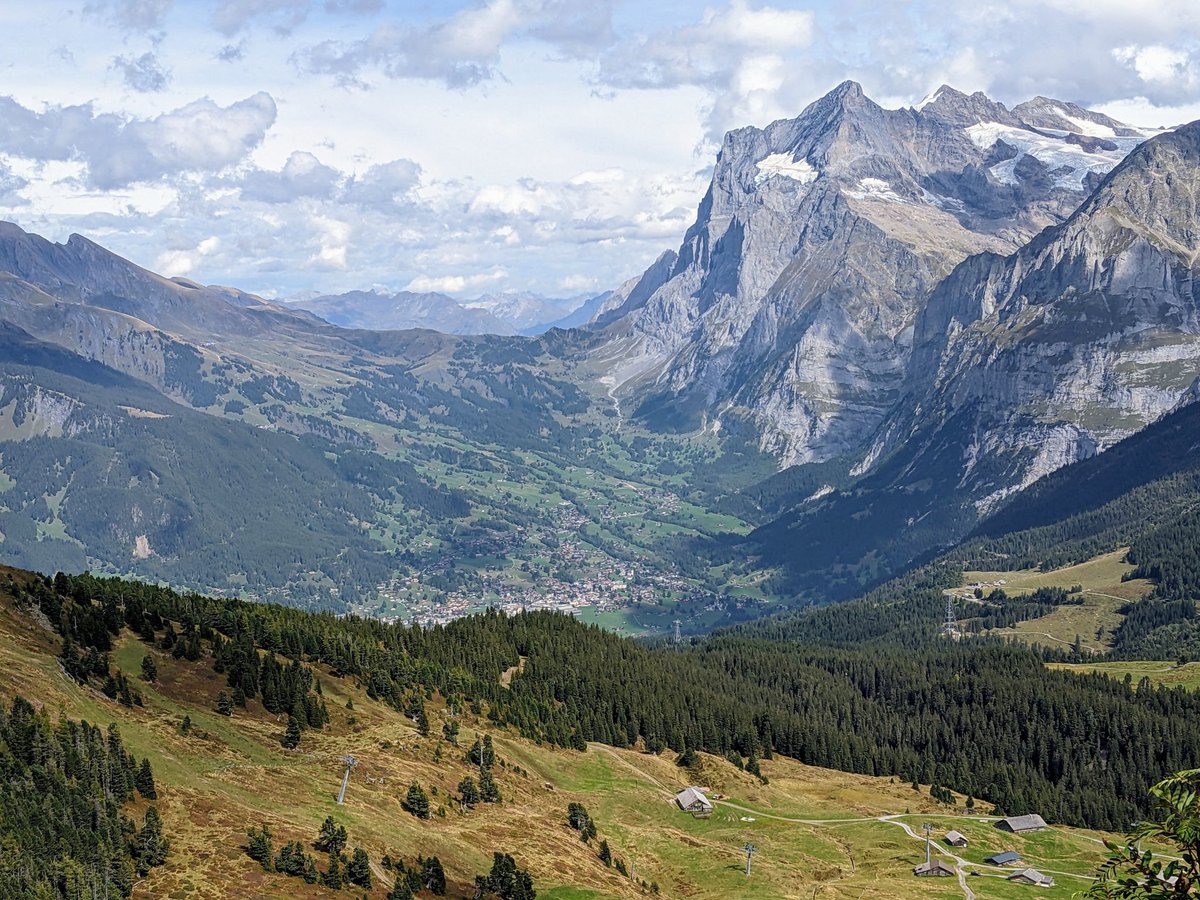 jayhawkrockdoc's tweet image. ancient geologic carbon storage in Grindelwald marble (Helvetica nappe, Berner Alpen, Jungfrau Region, CH)