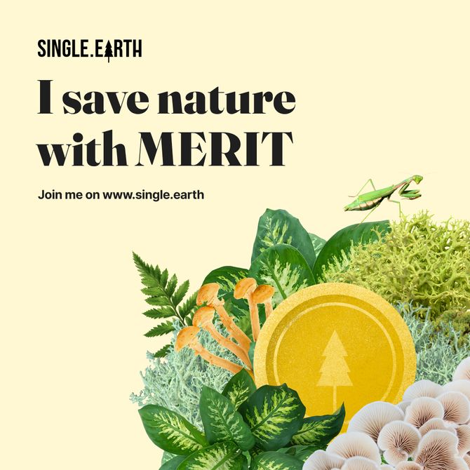 MPohjola's tweet photo. My first ever #cryptocurrency investment @SingleEarth1 #MERITtoken! I have to admit also the first time I actually understand the point of such an investment: A contribution to stop #climatechange and #biodiversityloss https://t.co/sYRsZODLtX