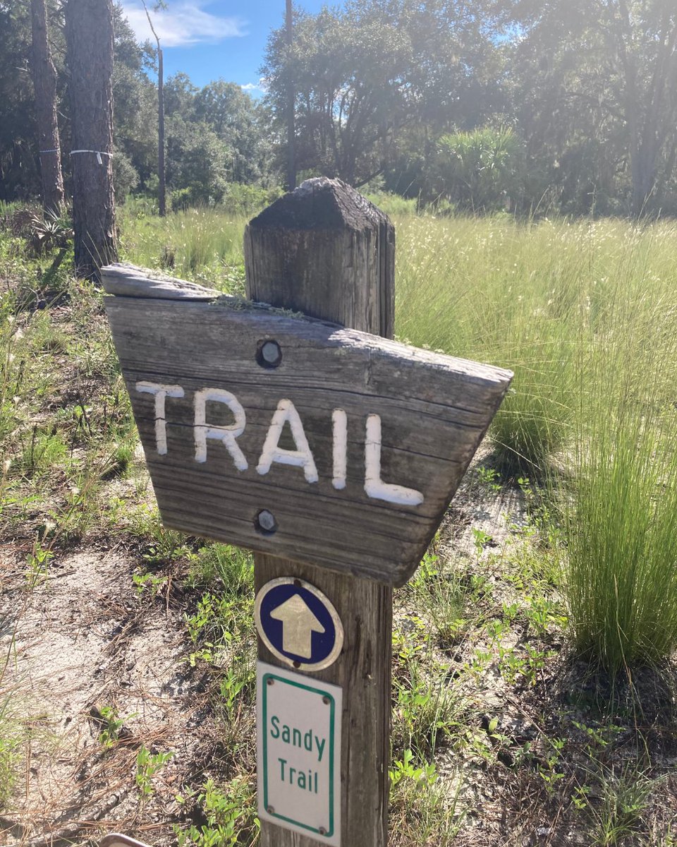 sustainableuf's tweet photo. Seen along the Gainesville-Hawthorne Trail! 🦋🐍🌿The #GHT is a 16-mile paved, wide, accessible path that transports you straight from Boulware Springs in Gainesville all the way to Hawthorne. #GlimpseIntoGainesville https://t.co/2DriROy3ow