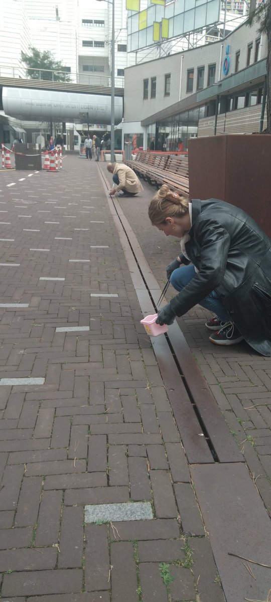 plasticvrij's tweet photo. 'Het @NLNatArchief ruimt op!' In het kader van @WorldCleanupDay raapten medewerkers  vanmiddag een halfuurtje vuil en peuken op het Anna van Burenplein in de @GemeenteDenHaag Niet te geloven: in een half uurtje raapten ze met 8 mensen ruim 3000 peuken!! #peukenmeisje #zerowaste https://t.co/o9Ev8Tdx6q