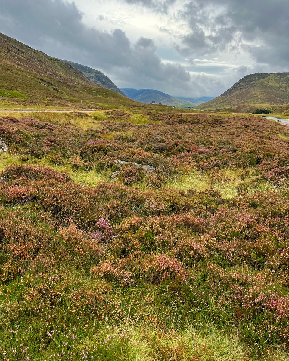 Cairngorms nationalpark is so beautiful #nature #Scotland #cairngormsnationalpark
