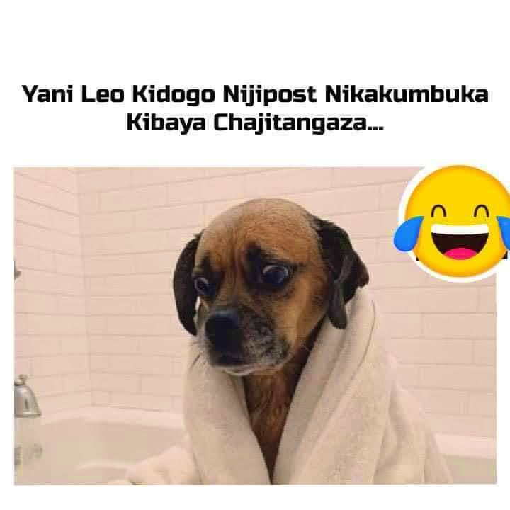 GSiayo's tweet photo. https://t.co/X6pUZgDgYZ