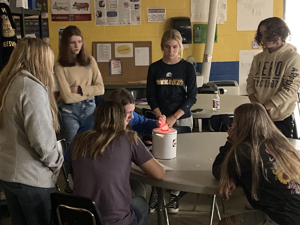 SuperRStephens's tweet photo. I want to give a shoutout to all our awesome @BerkCoSchoolsWV Ag teachers today in honor of National Teach Ag Day!
At @Hedgesvillehs, Mr. VanDyne's class spent time this morning candling various types of eggs and learning what stage each egg was in.
#BCSBack2Basics #TeachAg https://t.co/N2yK1lAZtI