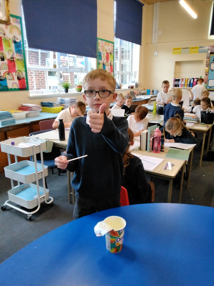 scargill_school's tweet photo. We've been taste testing different yoghurts in design and technology. Some were tastier than others! 🦁 https://t.co/zV68lUS6DO