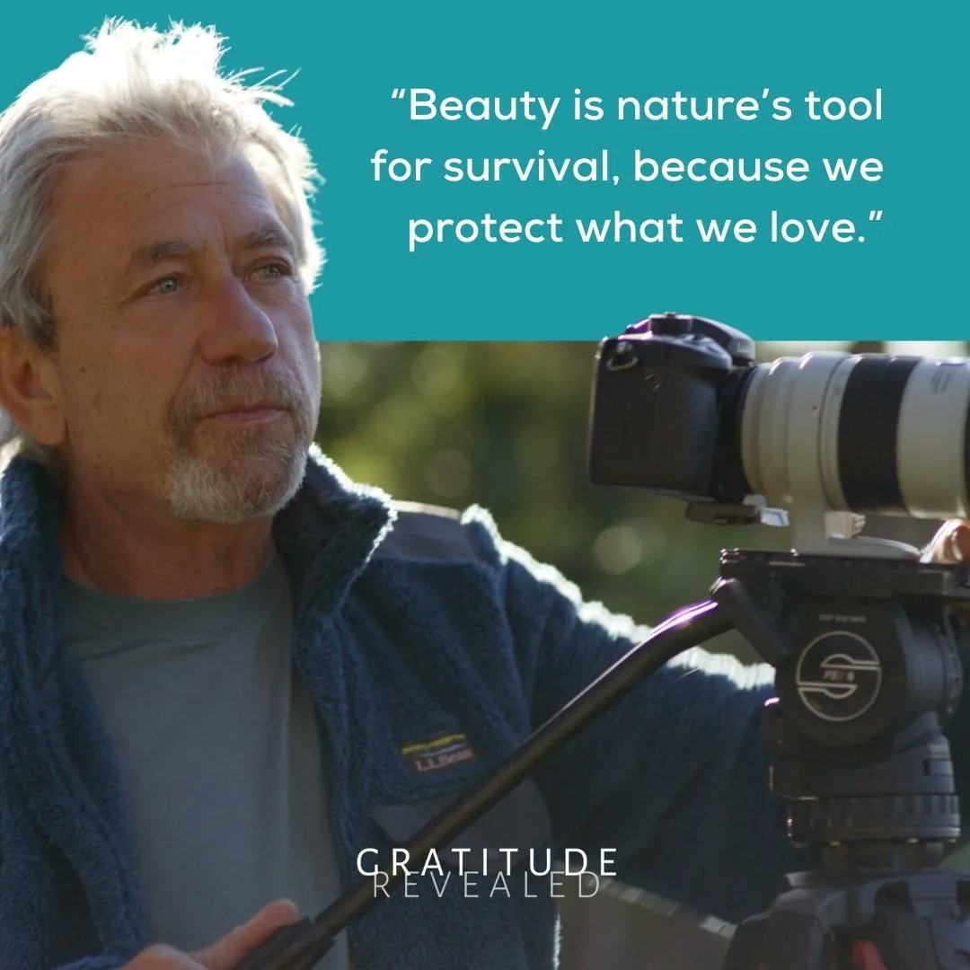 Tricycle Magazine (tricyclemag) / Twitter