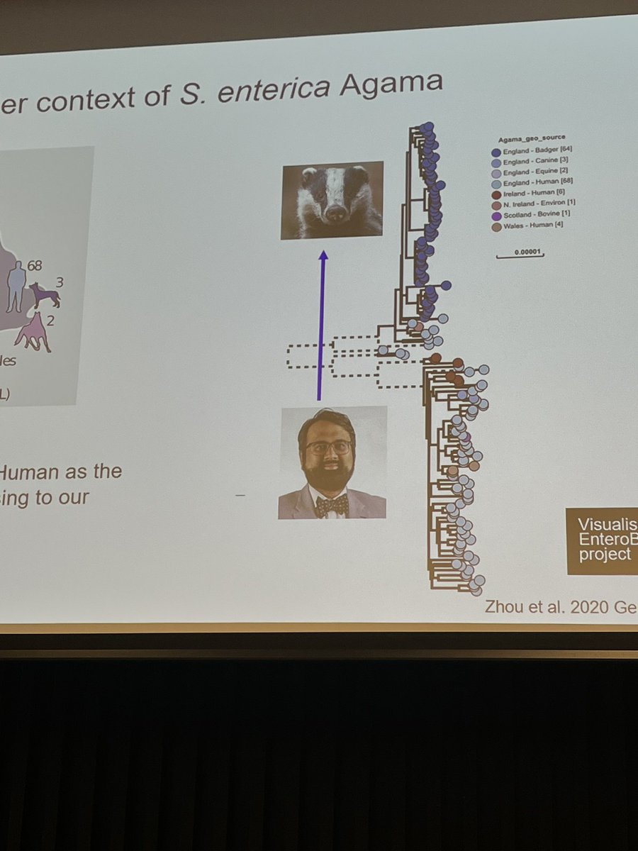 Heather Carleton, PhD tweet media