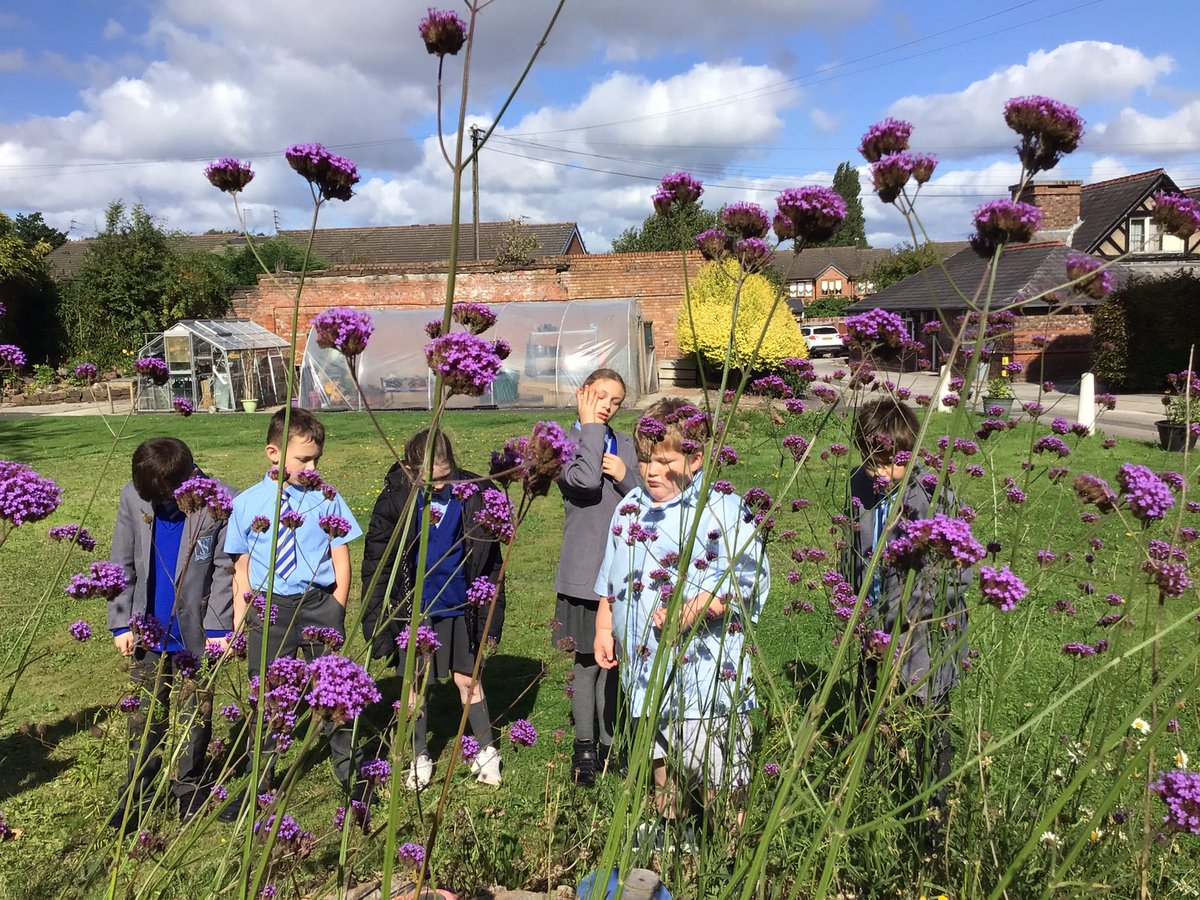 St. Vincent's School tweet media