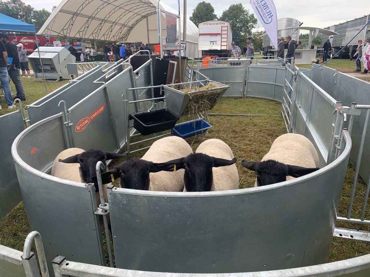 We’ve made friends of all kinds at the <a href="/outdoorfarmshow/">Canada's Outdoor Farm Show</a> 🐑 and today is the last day to come visit the show and the @skillstechtruck <a href="/skillsontario/">Skills Ontario</a> ☀️