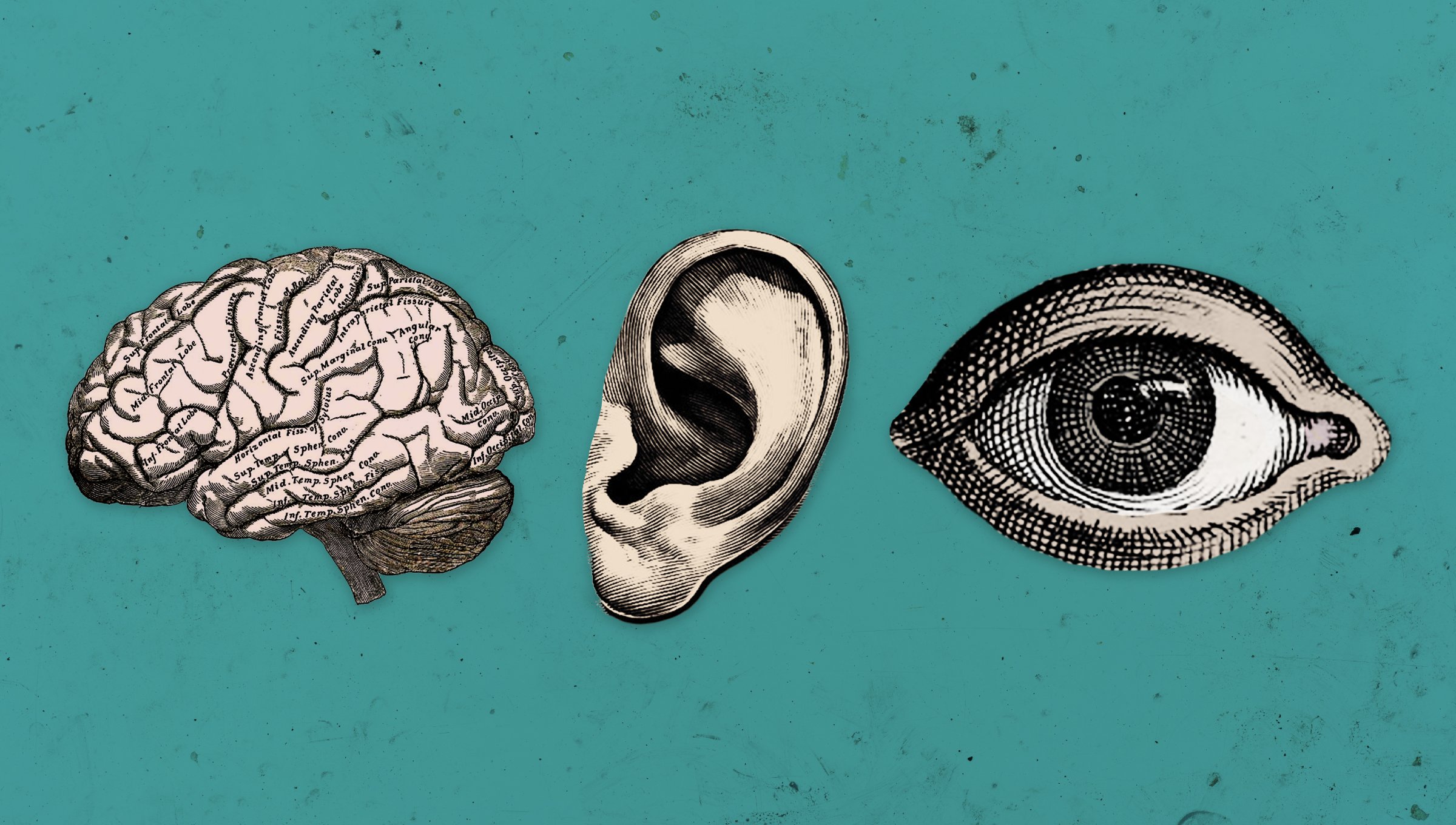 Industrial Workers of the World (iww) / Twitter