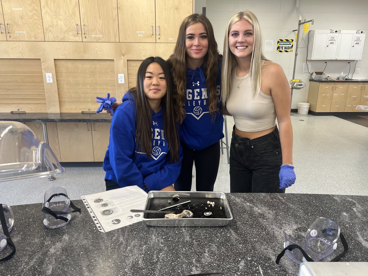 ALLSAINTSccsd's tweet photo. Bio 30 sheep eye dissection.   #learningisthework https://t.co/eGLsKFoEqf