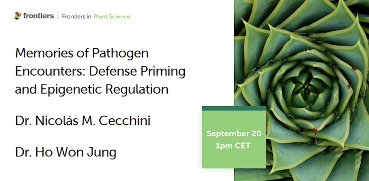 🌱Join Global Plant Council Prize <a href="/FrontPlantSci/">Frontiers - Plant Science</a> Winner <a href="/nicoscecchini/">nico cecchini</a> and Ho Won Jung for their upcoming online webinar on defense priming and epigenetic regulation.

⏱️When? On September 20th (1pm CET)   

Register now at 👉  buff.ly/3D41e7v