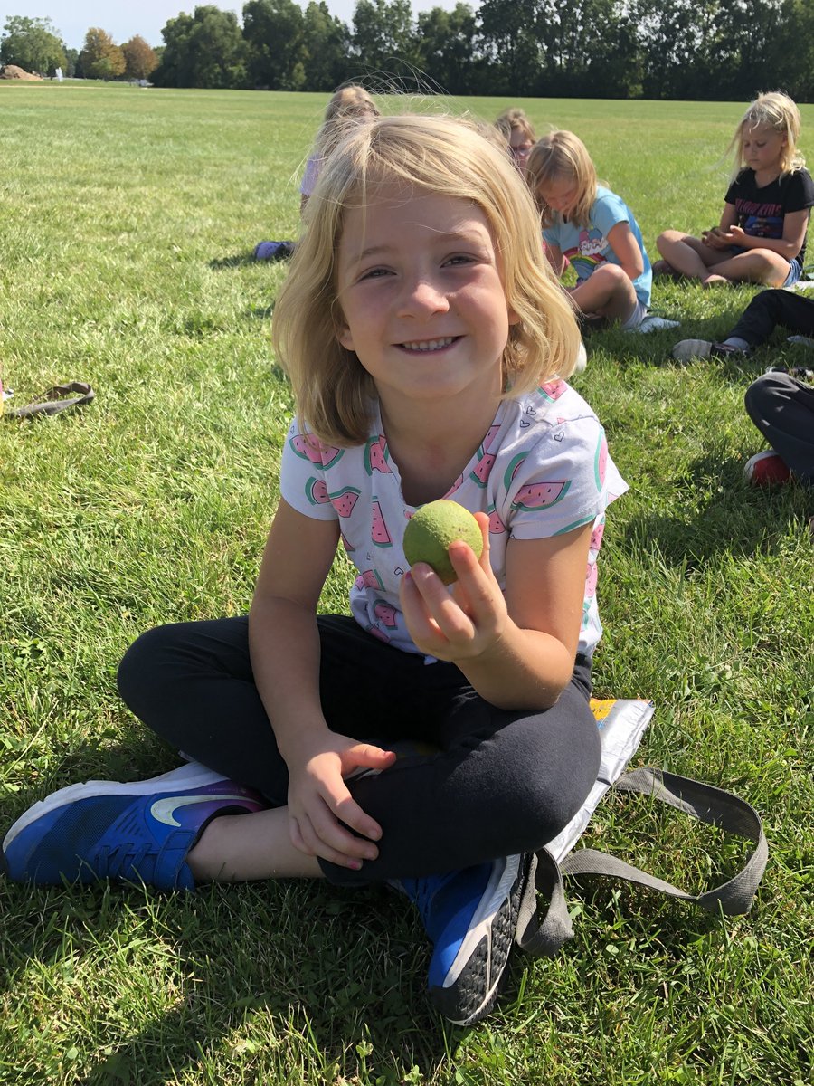 SDW Environmental Education tweet media