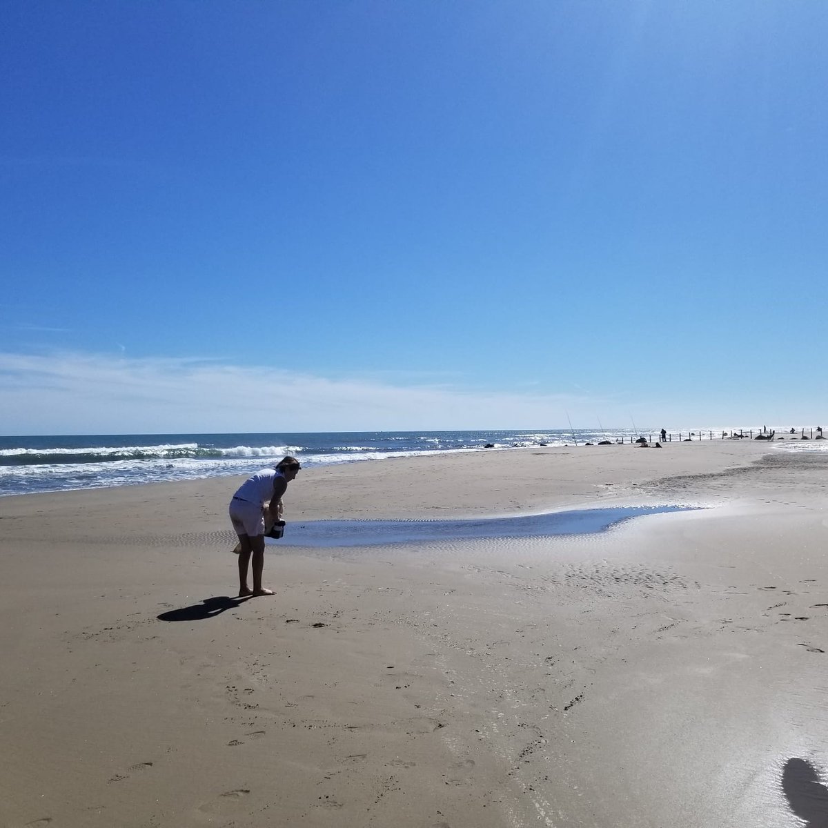 MerTerre13's tweet photo. C'est sous un beau et chaud soleil et une multitude de larmes de sirènes que Association MerTerre a attaqué les ramassages de suivi #DCSMM de la rentrée ! Cet après-midi nous étions sur la plage Napoléon, à Port-Saint-Louis-du-Rhone en #Camargue 💪 https://t.co/VXfAhBjtP8