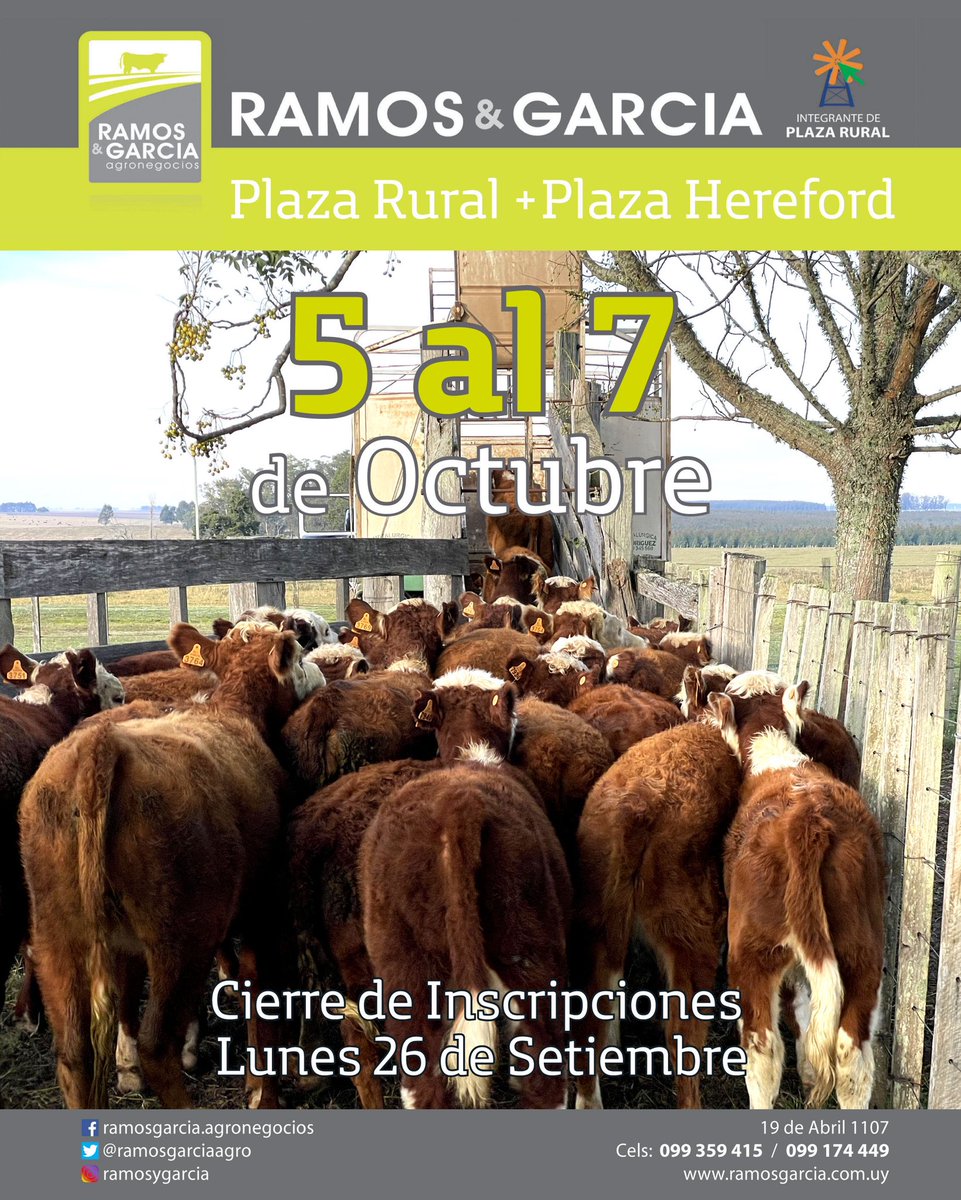 ✅YA ESTAMOS RECIBIENDO INSCRIPCIONES PARA EL PRÓXIMO REMATE DE <a href="/plazarural/">plazarural</a> ‼️
✅NO QUEDE AFUERA Y VENDA SU GANADO DE REPOSICIÓN EN EL MEJOR SISTEMA VIRTUAL DEL PAÍS‼️ 
 🎥🐮🐂🐑