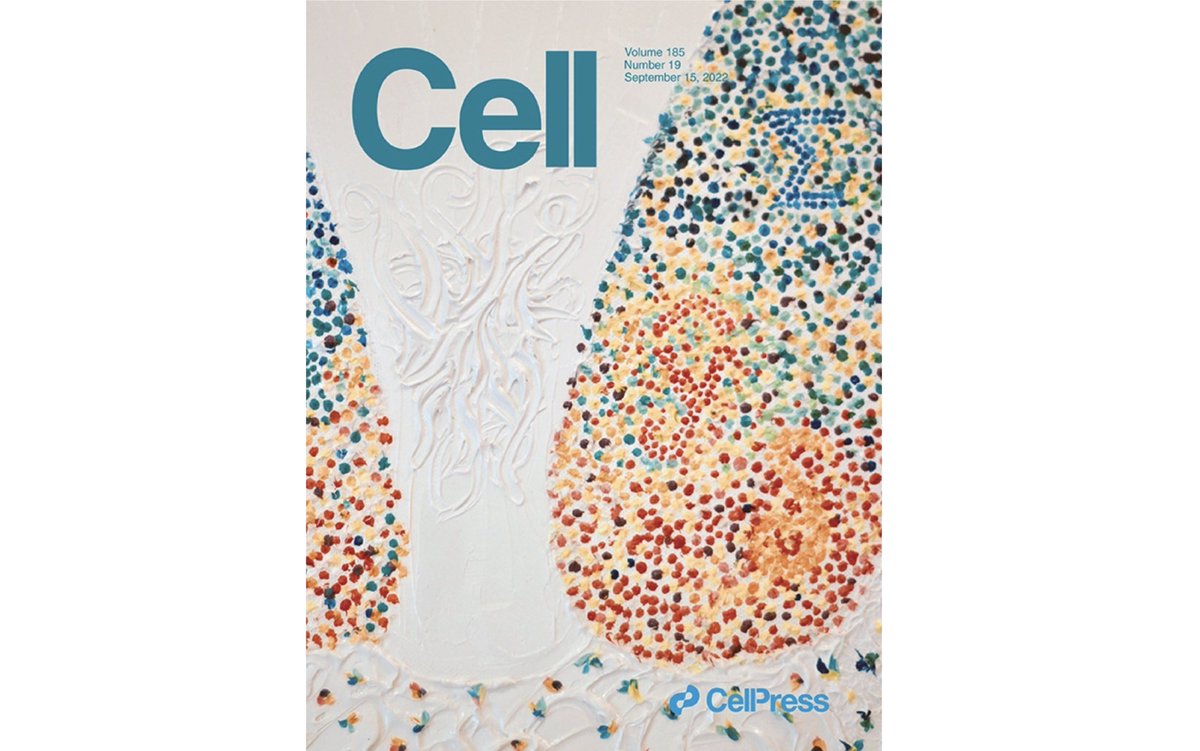 Emily Sylwestrak (@esylwestrak) on Twitter photo Paper Alert! I am thrilled to share our paper in <a href="/CellCellPress/">Cell</a> on cell-type-specific reward computations in the habenula! Along with <a href="/SamVesuna/">Sam Vesuna</a>, <a href="/youngju_jo/">YoungJu Jo</a>, @sussillodavid, <a href="/shenoystanford/">Krishna Shenoy</a>, and @karldeisseroth.
Paper: tinyurl.com/2apujxkh
Check out the thread 👇
(1/n) Paper Alert! I am thrilled to share our paper in <a href="/CellCellPress/">Cell</a> on cell-type-specific reward computations in the habenula! Along with <a href="/SamVesuna/">Sam Vesuna</a>, <a href="/youngju_jo/">YoungJu Jo</a>, @sussillodavid, <a href="/shenoystanford/">Krishna Shenoy</a>, and @karldeisseroth.
Paper: tinyurl.com/2apujxkh
Check out the thread 👇
(1/n)