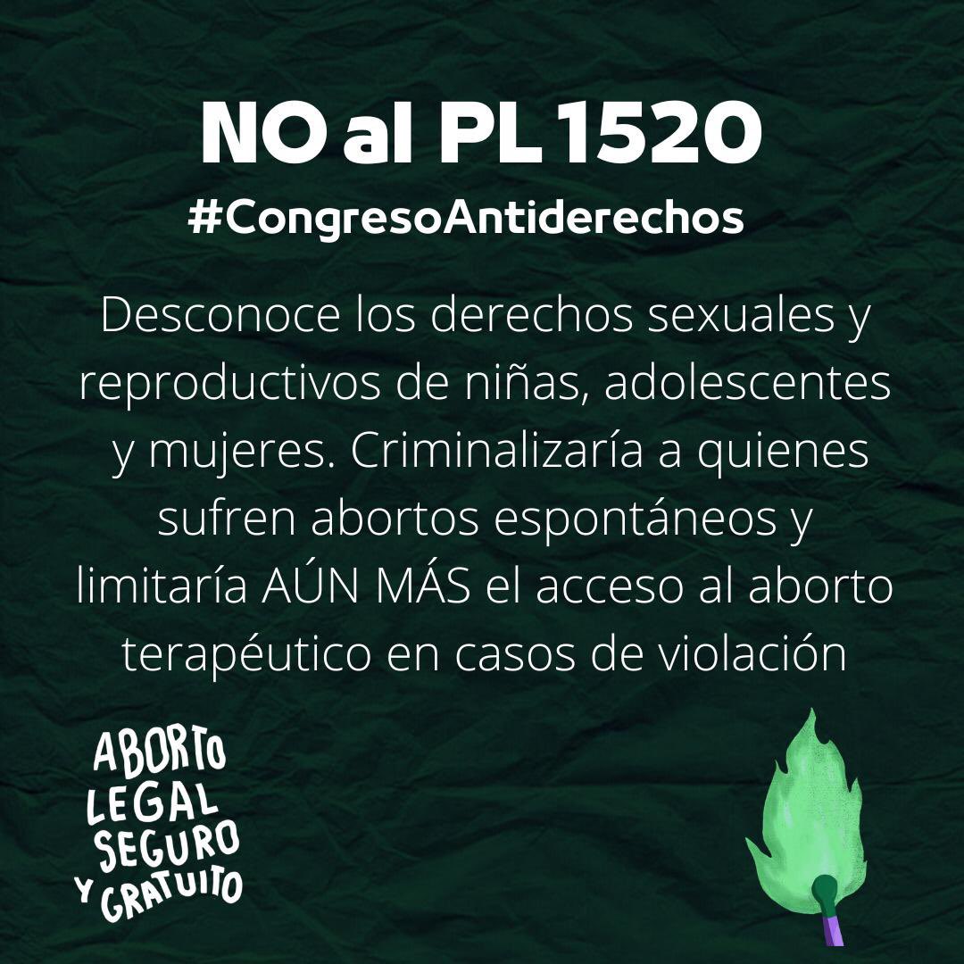 silvanagazzolo's tweet photo. #NoAlPL1520 #NoAlPL1229 #CongresoAntiderechos Porque nuestras vidas y nuestros derechos importan.  No queremos más retrocesos. #AsambleaVerde💚 https://t.co/YHetCsAuPJ