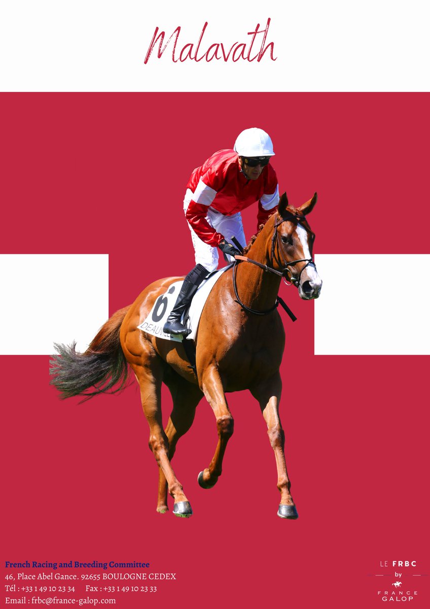 FRBC_Official's tweet photo. 🎯Next target for Malavath ⤵️
Group 1 Qatar Prix de la Forêt on Sunday October 2nd

The Group 1-placed filly galloped on the @paris_longchamp racecourse today before racing ! 

#ArcWeekend #RaceinFrance https://t.co/9099JJh4V9
