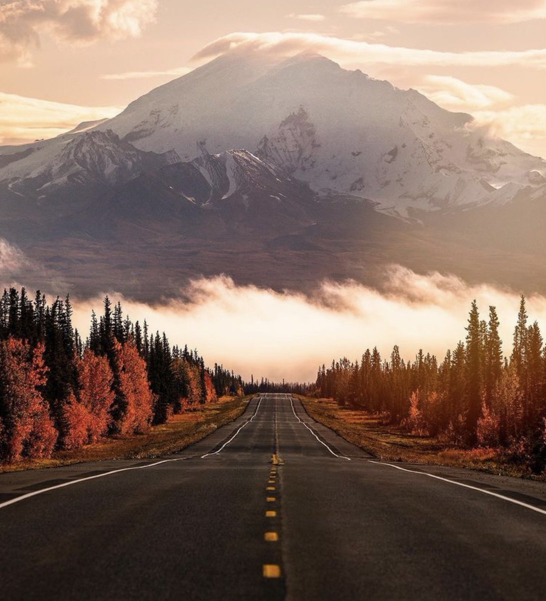 The journey of a thousand miles begins with one step.

Lao Tzu