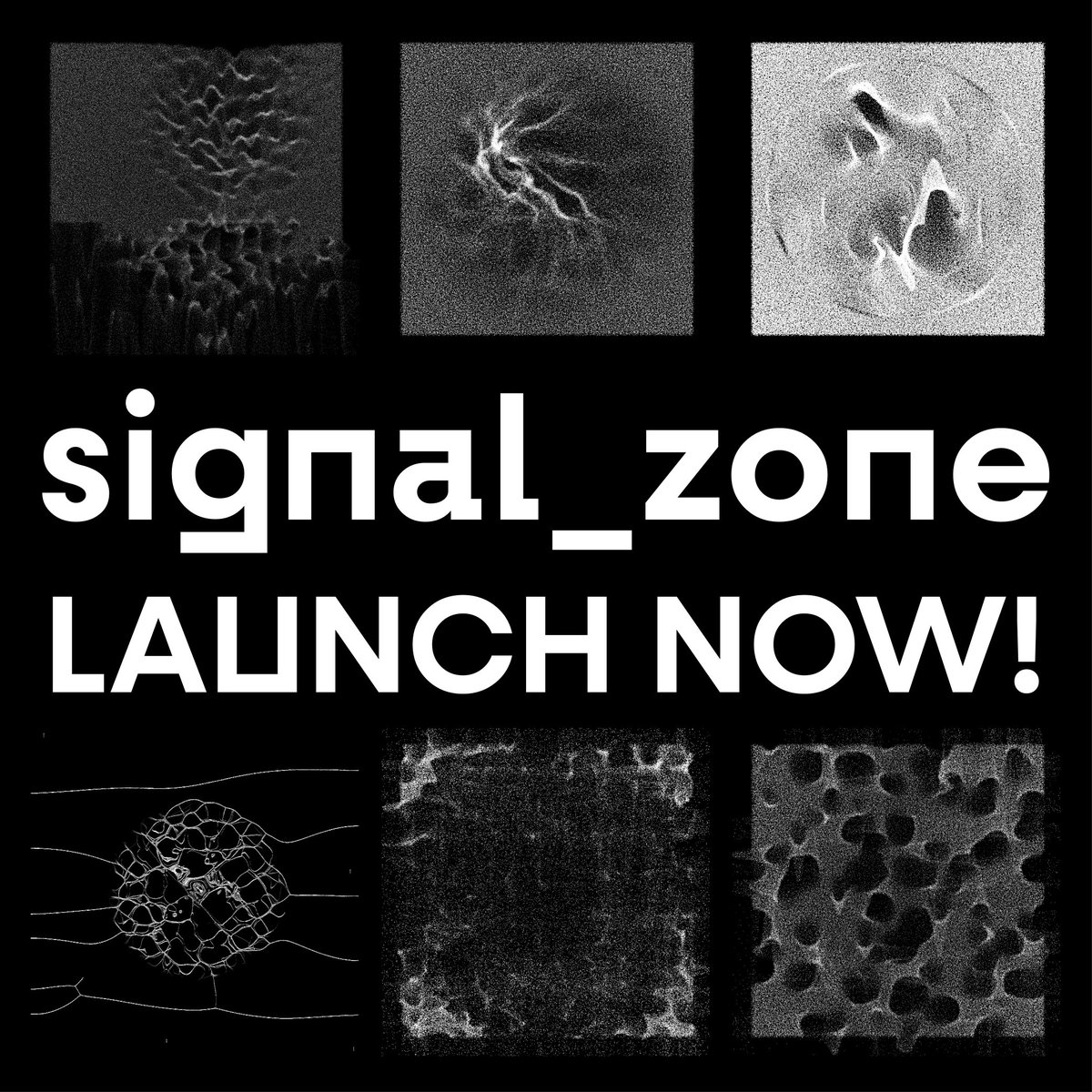 _f.szabi tweet media