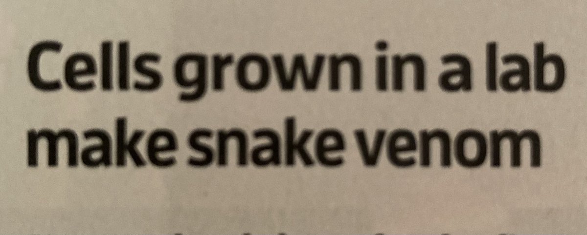 Elmattic (@thisiselmattic) on Twitter photo 