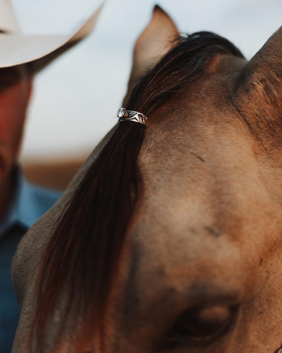 Kell Bell (@cahillkellie) on Twitter photo 