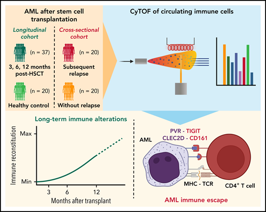 Livius Penter tweet media