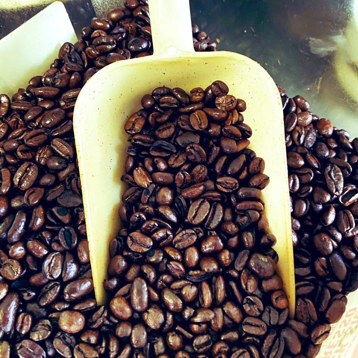 Our fresh Love Buzz coffee beans are approachable enough for new coffee drinkers but complex enough for any coffee snob.  With hints of crisp green apples, homemade dark caramel and creamy milk chocolate.

$18 a pound

Send Message to Order