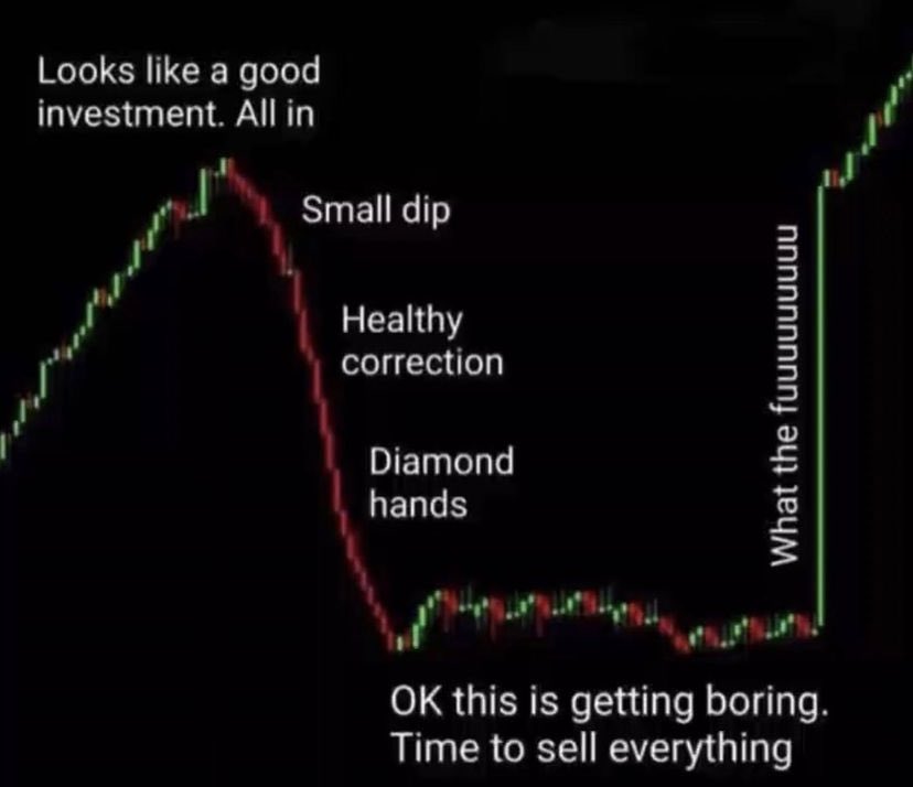 Why tf is this chart so accurate
