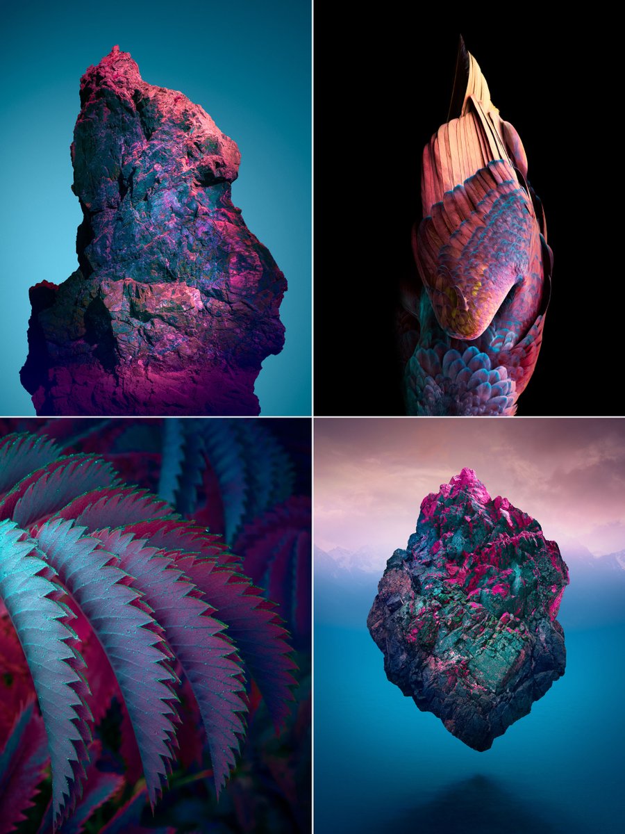 Tom Leighton tweet media