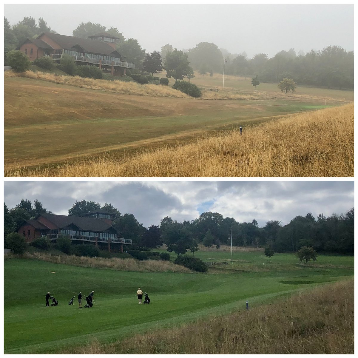 Recovery programme is coming together 3 1/2 weeks of skilled applications <a href="/RoyalWinchGC/">Royal Winchester GC</a> more operations to follow, special mention @TurfgrassTN thanks for the support👌🏻⛳️
