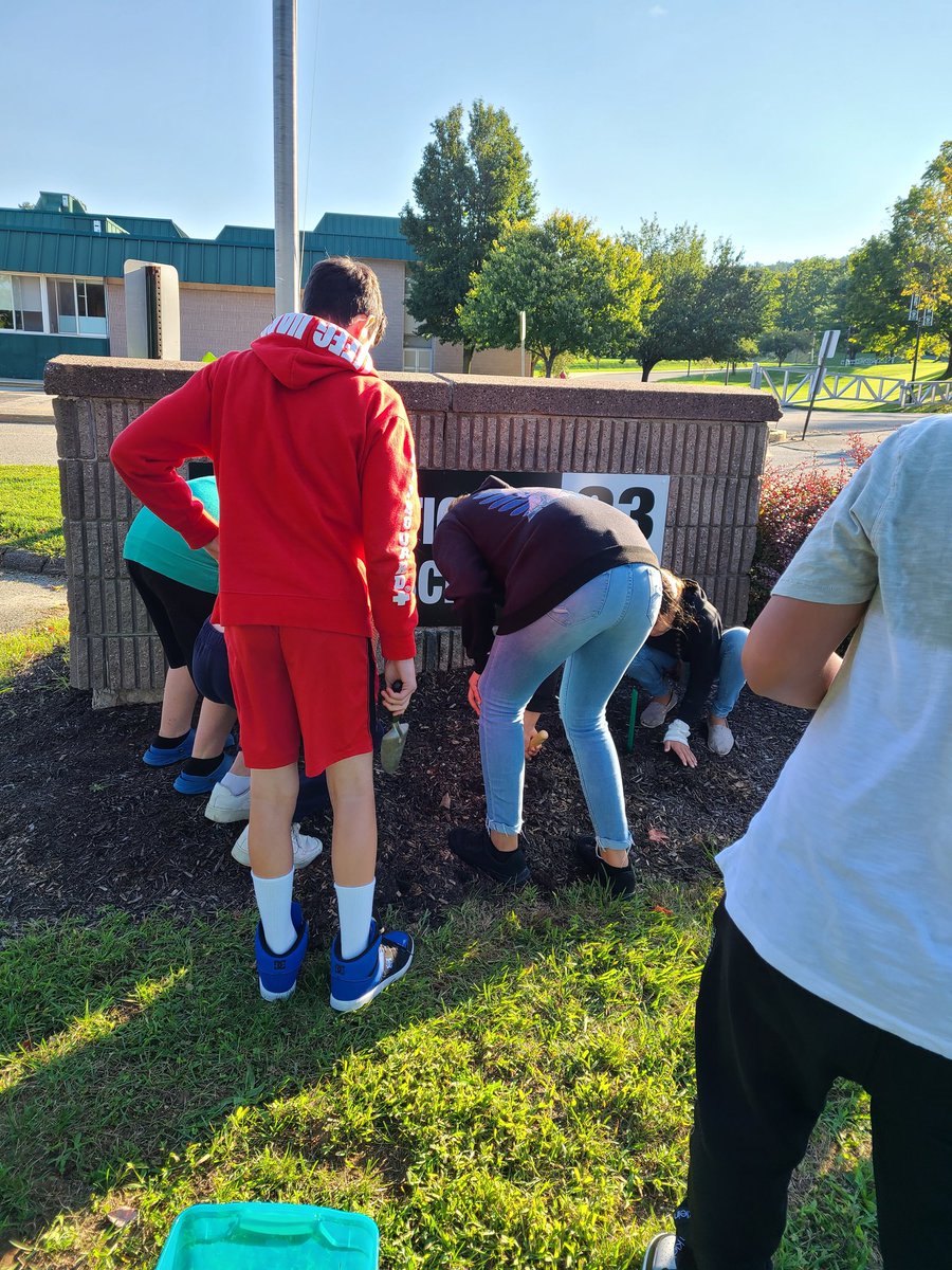 Team 7 Blue is planting daffodil bulbs to beautify our sign AND have specimens to dissect in the spring! 🙂 #7bluerocks @SMS_CT