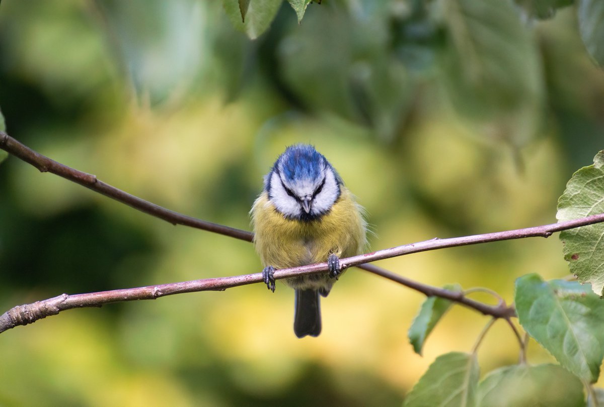 UnaxePictures tweet media