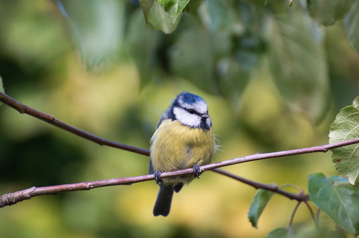 UnaxePictures tweet media