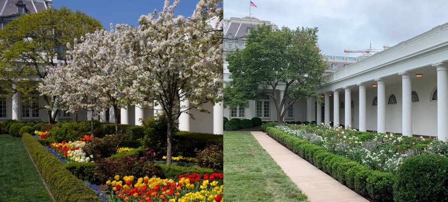 Neo_Jane8's tweet photo. Remember when miss titty Melania Trump aka Melanoma destroyed the beautiful WH's Rose Garden.. https://t.co/KeFQZRGIa2
