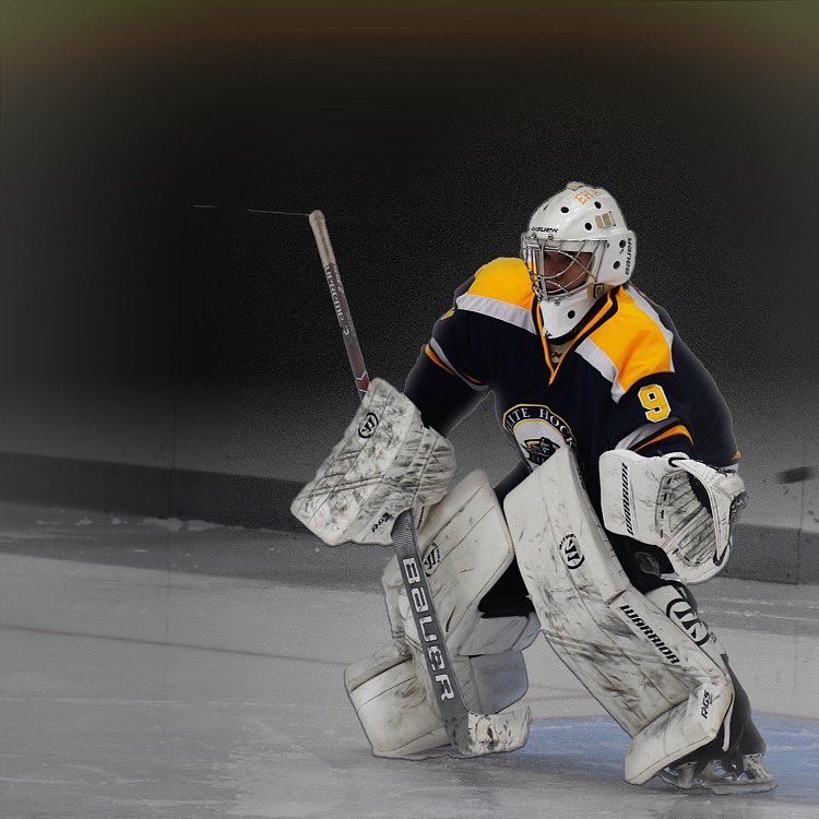 elite hockey academy rink