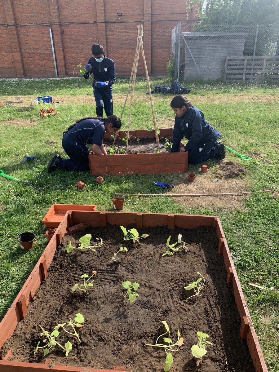 Springwest Blooms tweet media