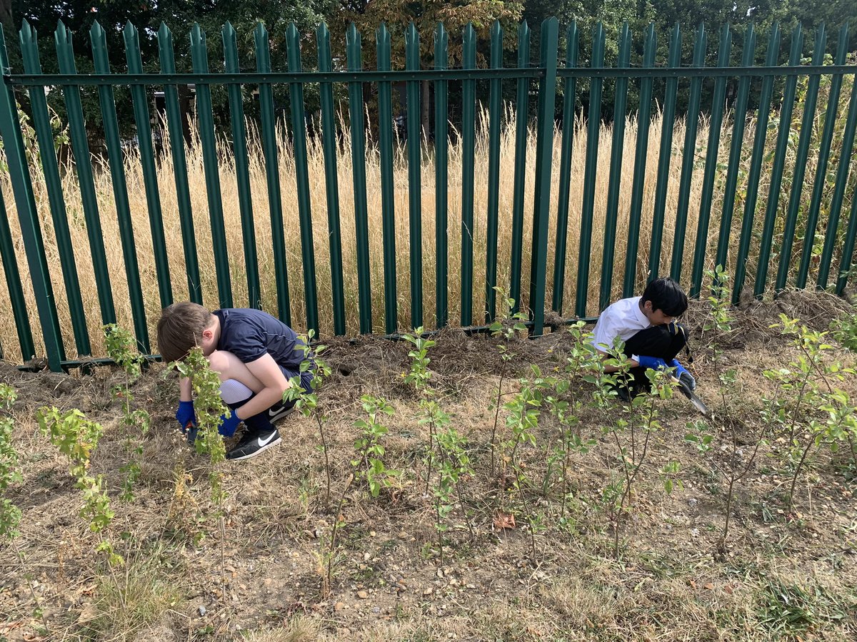 Springwest Blooms tweet media