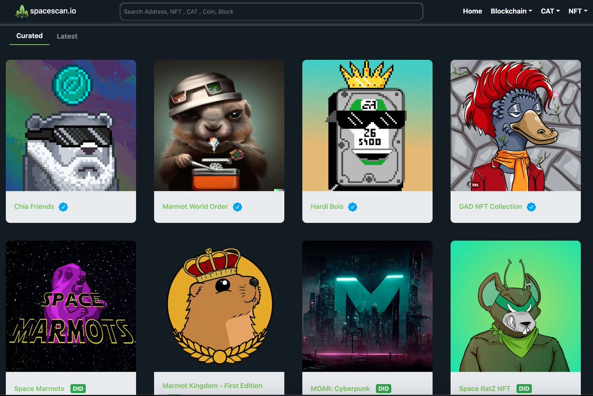 Thank you <a href="/spacescan_io/">SpaceScan.io 🌱</a>  for the opportunity to stand next to the outstanding collections on the #Chia blockchain!

<a href="/YostraM/">Strâya</a> <a href="/chia_friends/">Chia Friends 🌱</a>  

#nft #NFTCommuntiy #NFTcollections