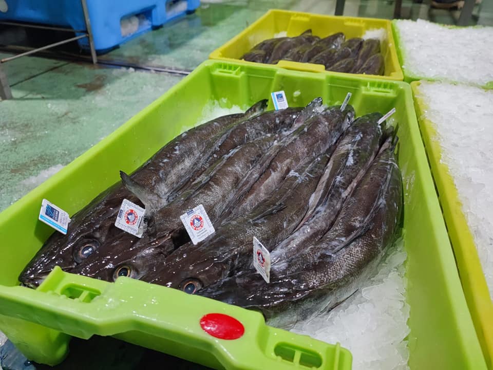 TepsaGPF's tweet photo. Merluza de pincho de @DeMerluza en cajas Tepsa.
----
Hake from @DeMerluza  in TEPSA crates.

#merluza #comepescado #economiaciecular #circulareconomy #reusablecontainers #envasesreutilizables #pesca #fishing https://t.co/ehJ1rKw3ie
