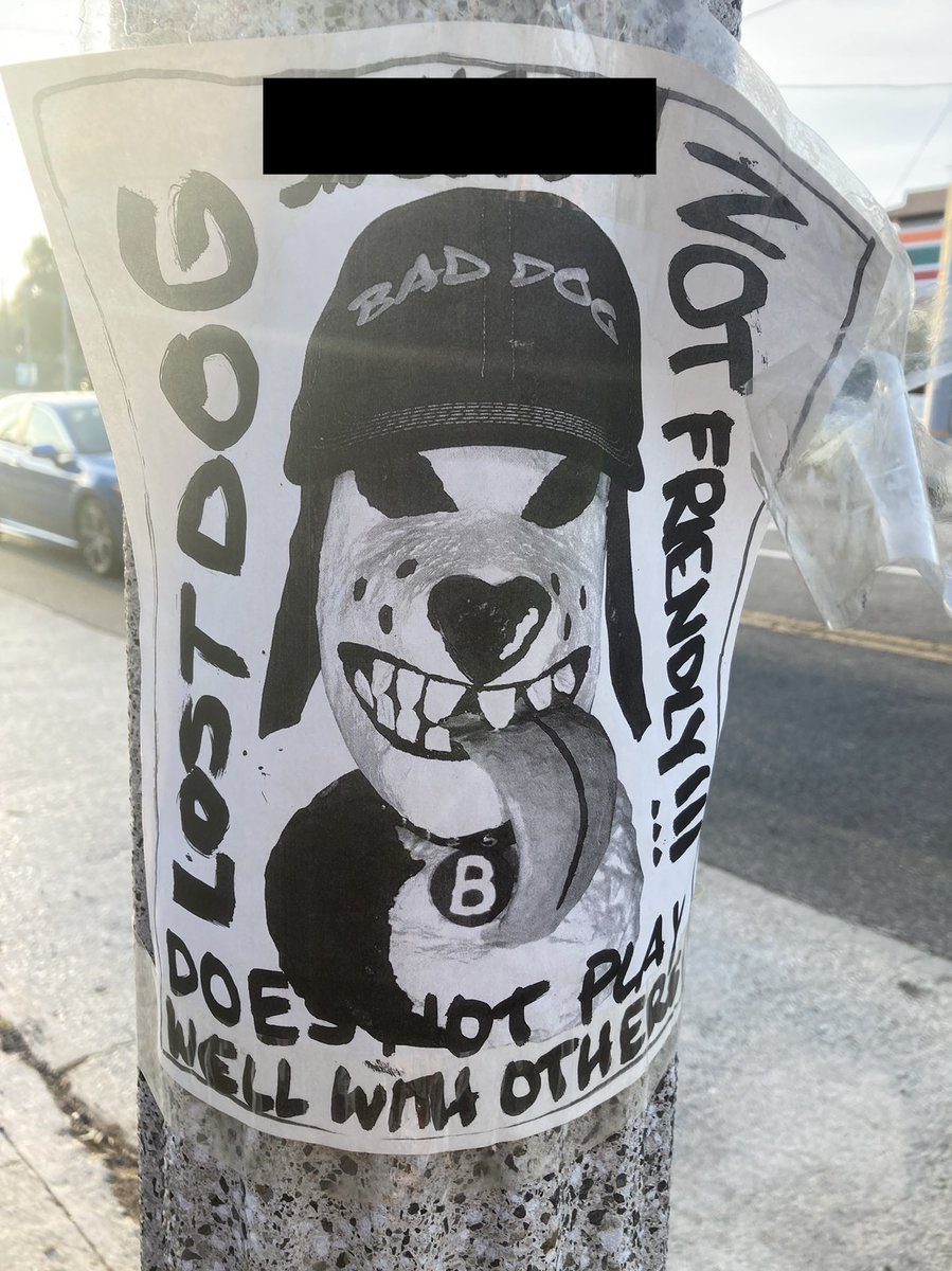 BAD DOG